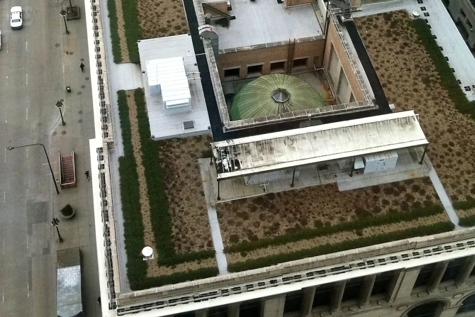Aerial view of green roof on Chicago Cultural Center.